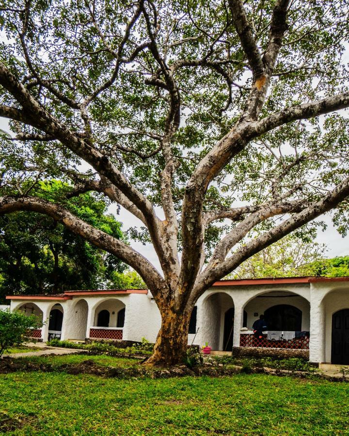 Diani Sea Lodge Діані-Біч Екстер'єр фото