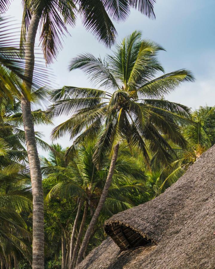 Diani Sea Lodge Діані-Біч Екстер'єр фото